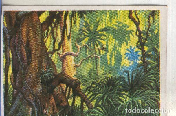 Collectionnisme sportif: Cromos: Historia Natural numero 400 - Varios