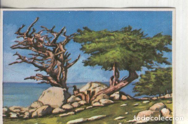 Collectionnisme sportif: Cromos: Historia Natural numero 396 - Varios