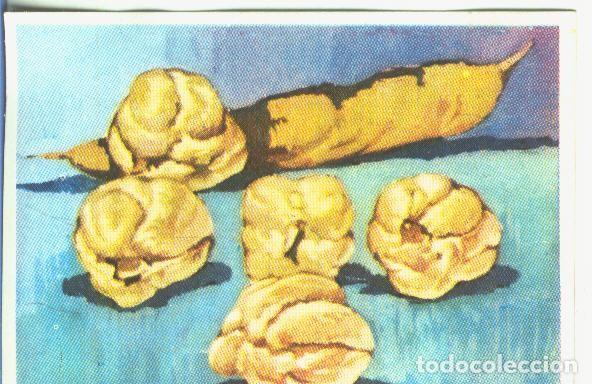 Sammelleidenschaft Sport: Cromos: Historia Natural numero 468 - Varios