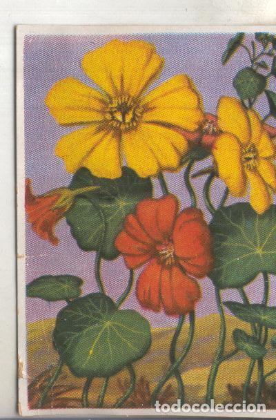 Coleccionismo deportivo: Cromos: Historia Natural numero 471 - Varios