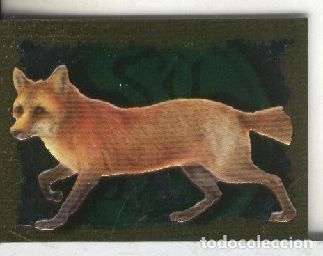Collezionismo sportivo: Cromos: Narnia letra N - Varios