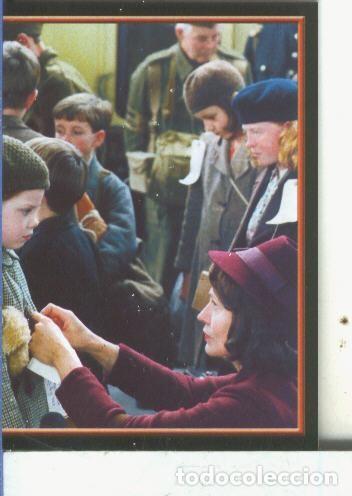 Collectionnisme sportif: Cromos: Narnia numero 008 - Varios