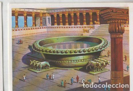 Collezionismo sportivo: Cromos: Sabias que....? numero 25 - Varios