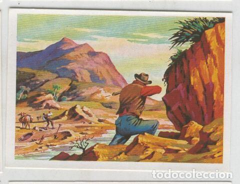 Sports collectibles: Cromos: Sabias que....? numero 34 - Varios