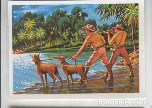 Collezionismo sportivo: Cromos: Sabias que....? numero 43 - Varios