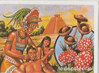 Coleccionismo deportivo: Cromos: Sabias que....? numero 56 - Varios