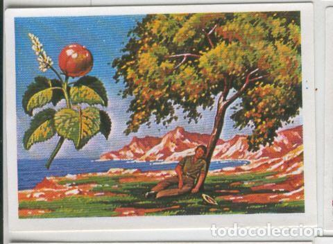 Coleccionismo deportivo: Cromos: Sabias que....? numero 63 - Varios