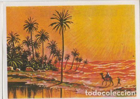 Coleccionismo deportivo: Cromos: Sabias que....? numero 68 - Varios