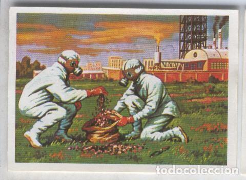 Coleccionismo deportivo: Cromos: Sabias que....? numero 71 - Varios