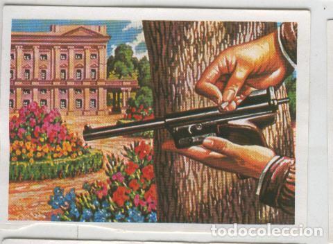 Coleccionismo deportivo: Cromos: Sabias que....? numero 75 - Varios