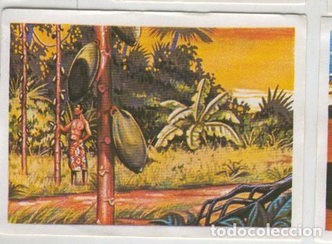 Coleccionismo deportivo: Cromos: Sabias que....? numero 77 - Varios