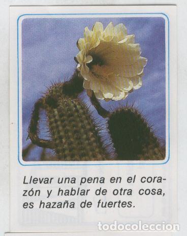 Collezionismo sportivo: Cromos: Mensajes de Alegria numerado 17 - Varios