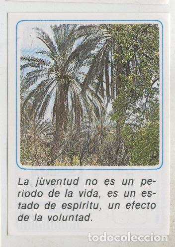 Collezionismo sportivo: Cromos: Mensajes de Alegria numerado 21 - Varios