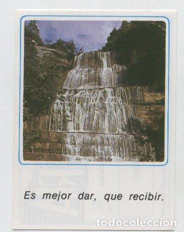 Collezionismo sportivo: Cromos: Mensajes de Alegria numerado 42 - Varios