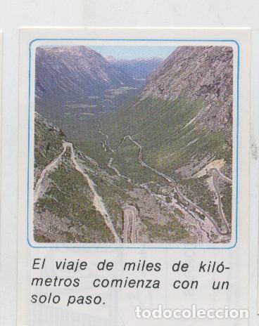 Collezionismo sportivo: Cromos: Mensajes de Alegria numerado 41 - Varios