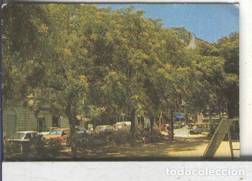 Colecionismo desportivo: Cromos: Arbres de Barcelona numero 33.A: Tipuana - Varios