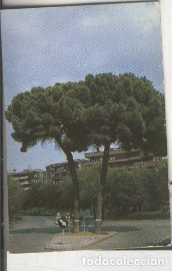 Colecionismo desportivo: Cromos: Arbres de Barcelona numero 03.A: Pi pinyoner - Varios