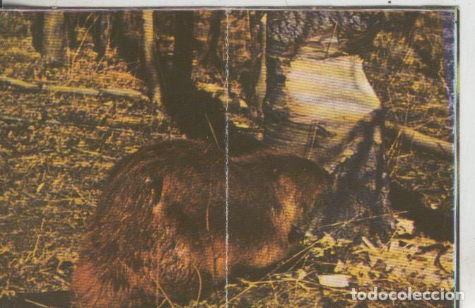 Collectionnisme sportif: Cromos: La Naturaleza y sus maravillas numero 222/223 - Varios