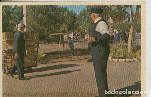 Sports collectibles: Cromos: Pollyanna numero 009 - Varios