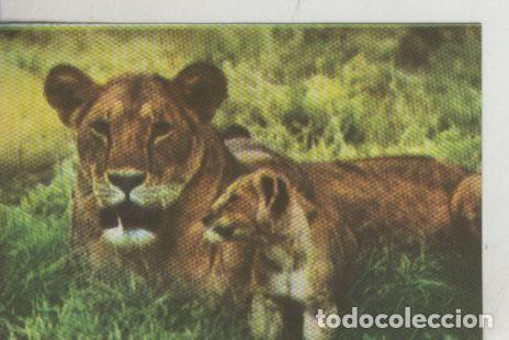 Collectionnisme sportif: Cromos: La Naturaleza y sus maravillas numero 130 - Varios
