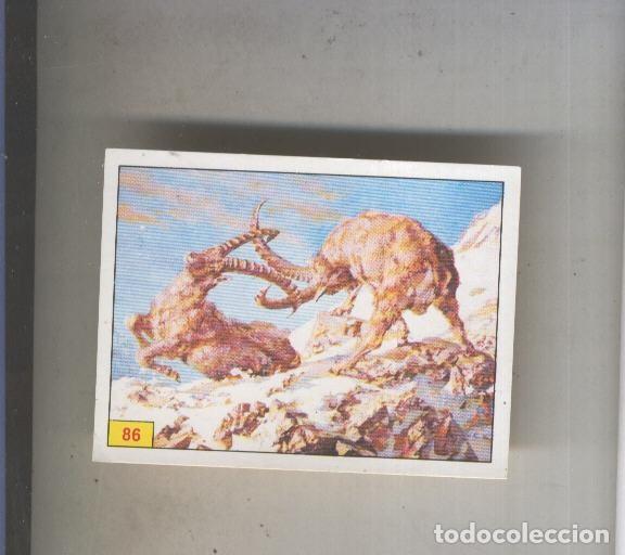 Coleccionismo deportivo: Cromo Mamiferos de Panini numero 086 - Varios