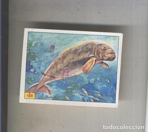 Coleccionismo deportivo: Cromo Mamiferos de Panini numero 108 - Varios