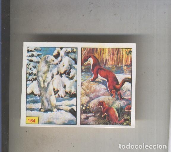 Collezionismo sportivo: Cromo Mamiferos de Panini numero 164 - Varios