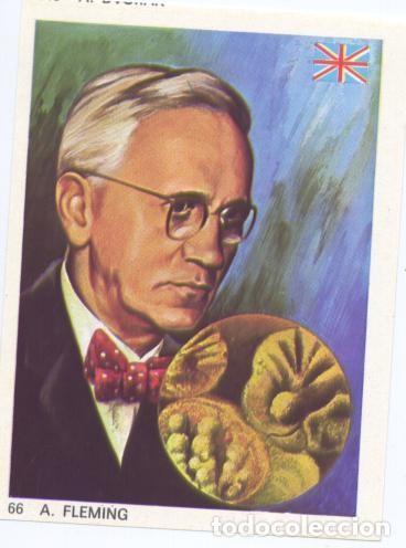 Sports collectibles: Cromos: Hombres Famosos numero 066: A.Fleming - Varios