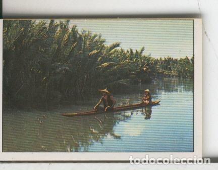 Coleccionismo deportivo: Cromos Sandokan de Panini numero 173 - Varios