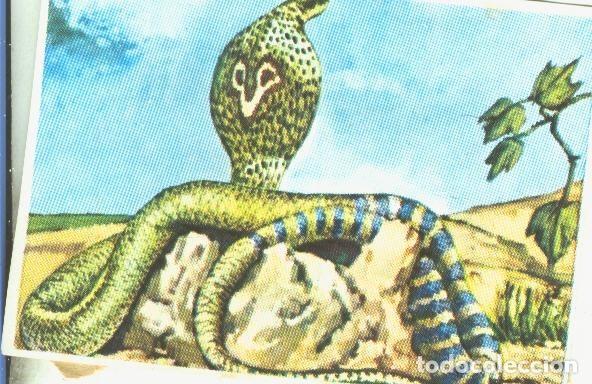 Collectionnisme sportif: Cromos: Historia Natural numero 158 - Varios