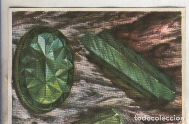 Collectionnisme sportif: Cromos: Historia Natural numero 074 - Varios