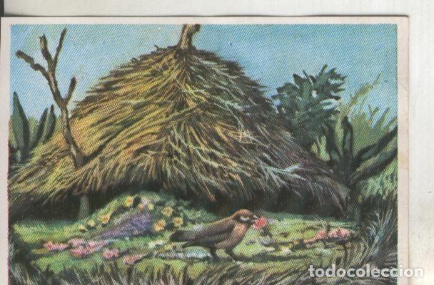 Colecionismo desportivo: Cromos: Historia Natural numero 328 - Varios