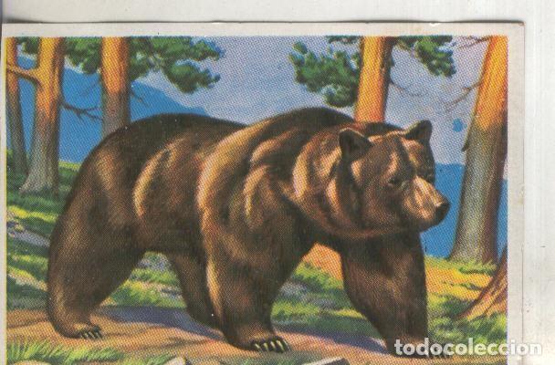 Sammelleidenschaft Sport: Cromos: Historia Natural numero 186 - Varios