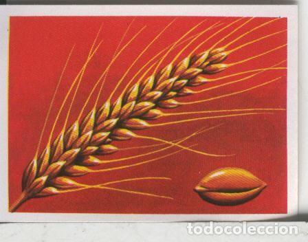 Sammelleidenschaft Sport: Cromos: El Mas y el Menos numero 021: El cereal de mas larga vida - Varios