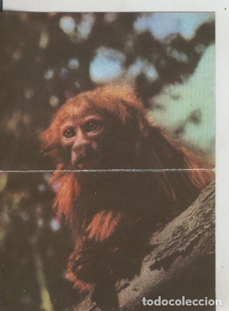 Sammelleidenschaft Sport: Cromos: La Naturaleza y sus maravillas numero 049/050 - Varios