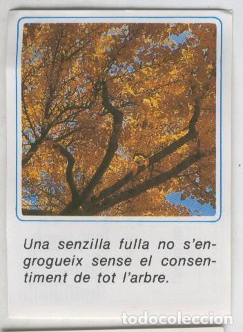 Colecionismo desportivo: Cromos: Missatges D&acute;alegria numerado 01 - Varios