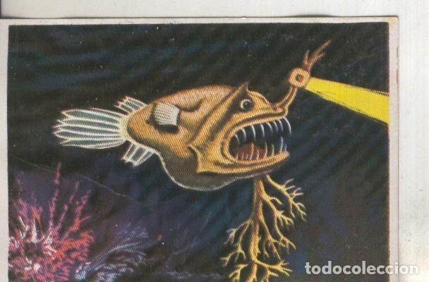 Colecionismo desportivo: Cromos: Historia Natural numero 198 - Varios