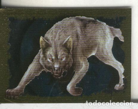 Collezionismo sportivo: Cromos: Narnia letra O - Varios