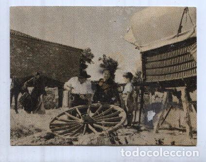 Collezionismo sportivo: Cromo: Marcelino Pan y Vino numero 066