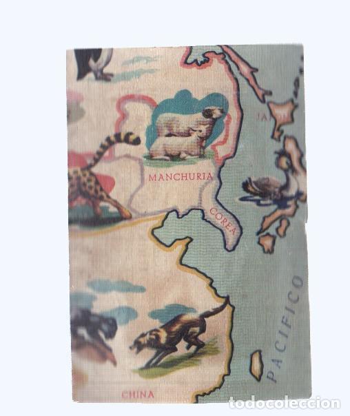Collectionnisme sportif: Cromos: de la Selva Misteriosa a los abismos del mar: numero 059: Mapa zoologico de asia, parte
