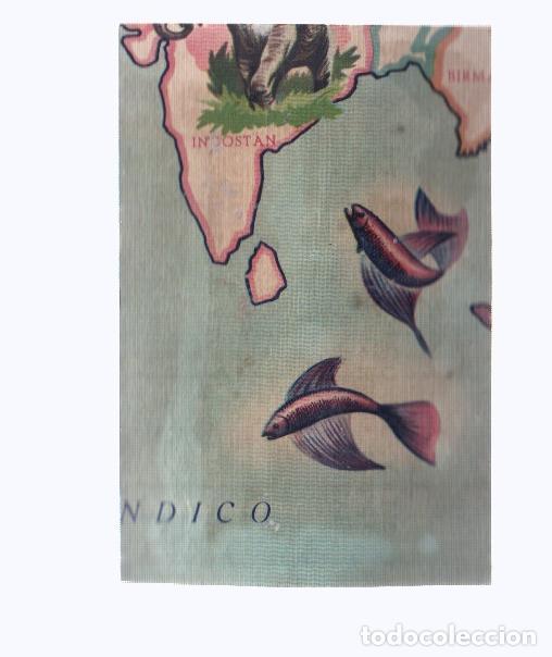 Collectionnisme sportif: Cromos: de la Selva Misteriosa a los abismos del mar: numero 061: Mapa zoologico de asia, parte