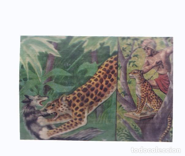 Coleccionismo deportivo: Cromos: de la Selva Misteriosa a los abismos del mar: numero 095: La fiereza domada