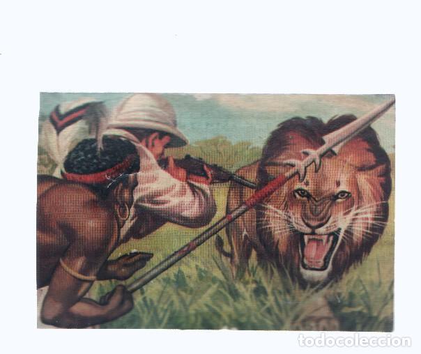 Coleccionismo deportivo: Cromos: de la Selva Misteriosa a los abismos del mar: numero 131: Selva y violencia