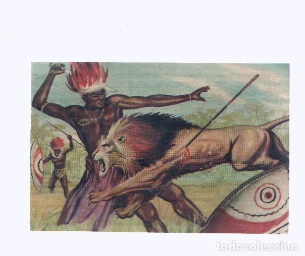 Coleccionismo deportivo: Cromos: de la Selva Misteriosa a los abismos del mar: numero 129: El ocaso de un rey