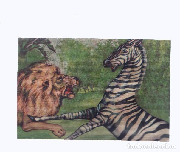 Coleccionismo deportivo: Cromos: de la Selva Misteriosa a los abismos del mar: numero 136: Ley de vida