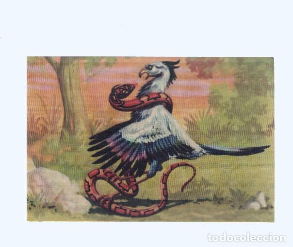 Coleccionismo deportivo: Cromos: de la Selva Misteriosa a los abismos del mar: numero 150: Picotazos mortales