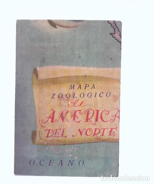 Coleccionismo deportivo: Cromos: de la Selva Misteriosa a los abismos del mar: numero 172: Mapa zoologico de America del Nort