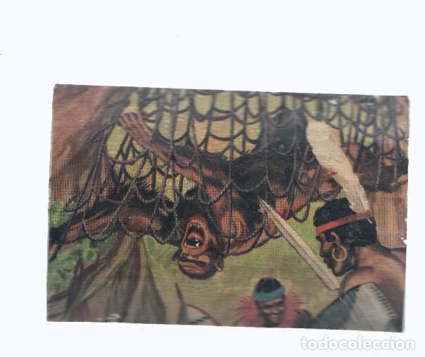 Coleccionismo deportivo: Cromos: de la Selva Misteriosa a los abismos del mar: numero 152: Caido en la trampa