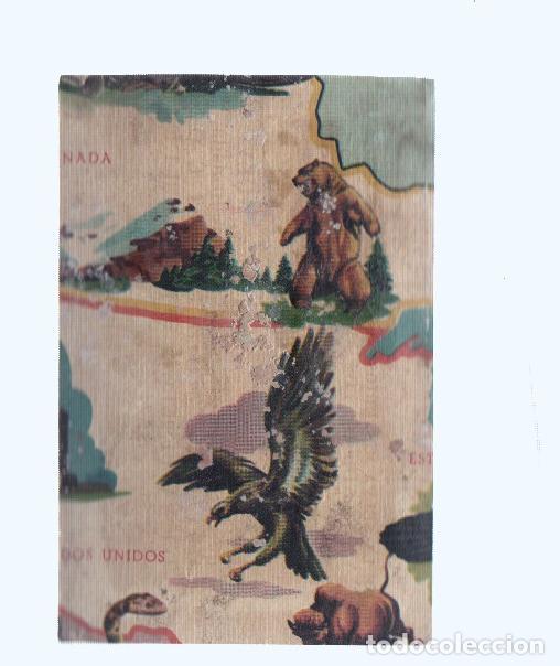 Coleccionismo deportivo: Cromos: de la Selva Misteriosa a los abismos del mar: numero 170: Mapa zoologico de America del Nort