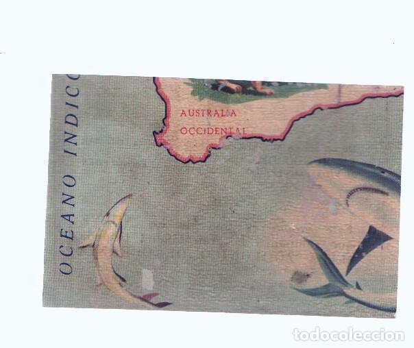 Collezionismo sportivo: Cromos: de la Selva Misteriosa a los abismos del mar: numero 262: Mapa zoologico de Oceania, parte